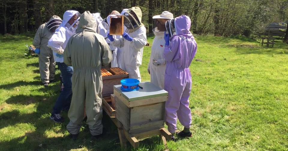 Group at the apiary