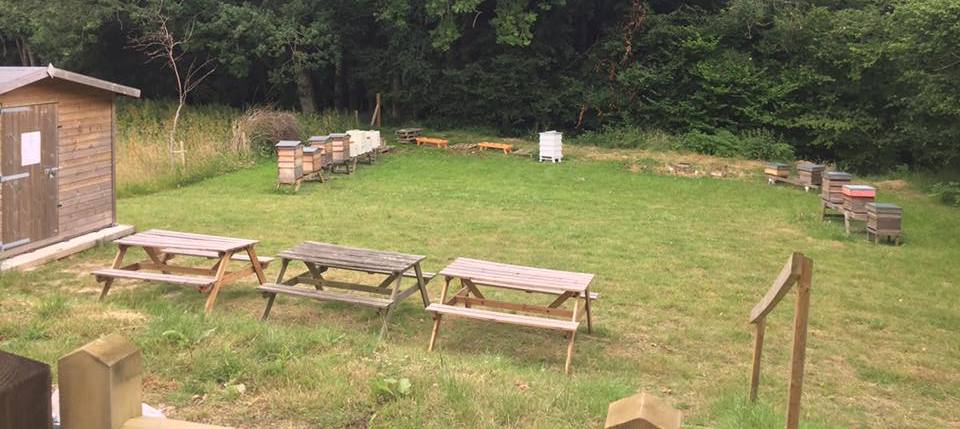 New apiary site