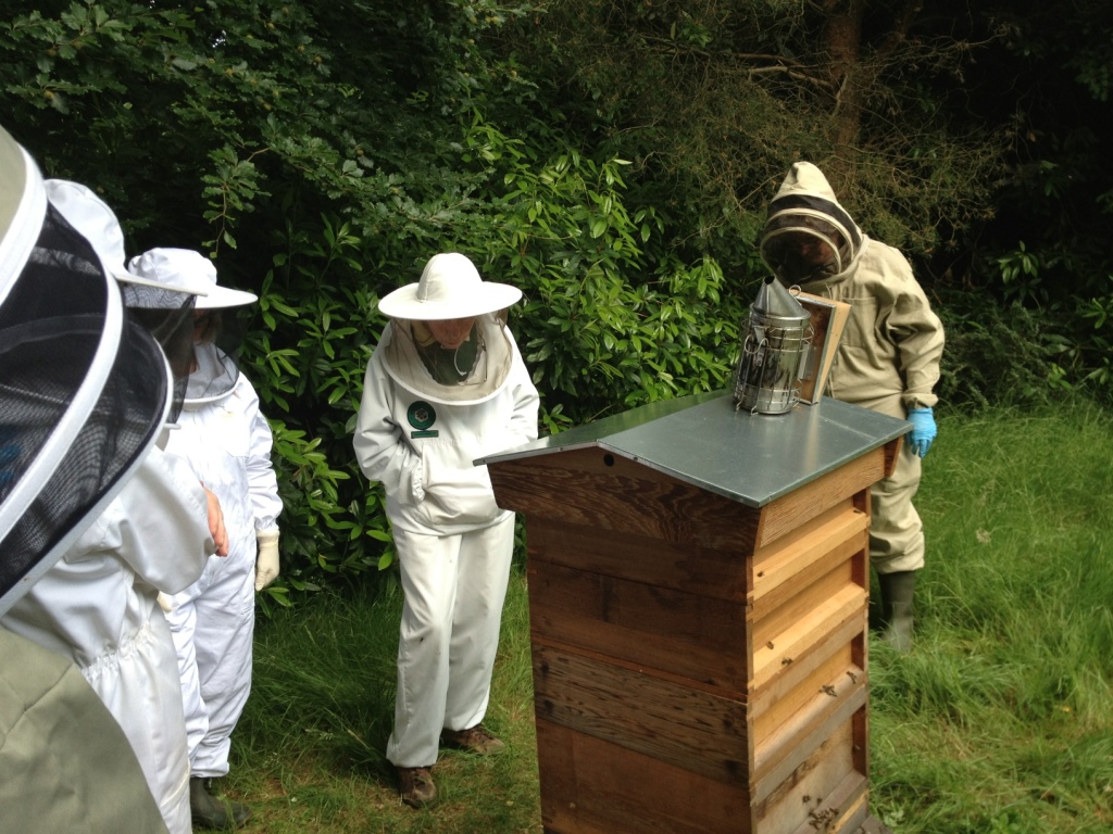 Training at the apiary
